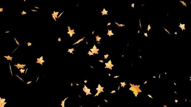 Falling autumn leaves in shades of gold and brown against a solid black background