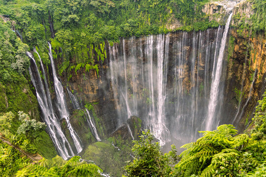 Tumpak Sewu Waterfall in Lumajang, East Java, Indonesia. Hundreds of cascading streams fall from a curved cliff into a lush tropical gorge, surrounded by dense rainforest and rising mist.