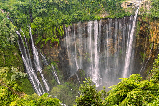 Tumpak Sewu Waterfall in Lumajang, East Java, Indonesia. Hundreds of cascading streams fall from a curved cliff into a lush tropical gorge, surrounded by dense rainforest and rising mist.