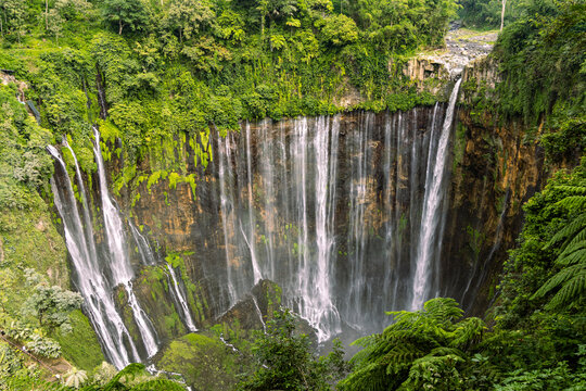 Tumpak Sewu Waterfall in Lumajang, East Java, Indonesia. Hundreds of cascading streams fall from a curved cliff into a lush tropical gorge, surrounded by dense rainforest and rising mist.