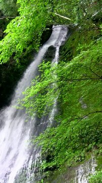 琵琶の滝