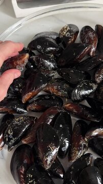 Woman cooking sea mussels in shells in glass tray close up. Seafood.
