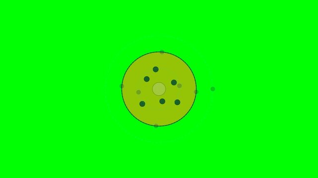 Educational Atomic Theory Evolution Comparison of Thomson Rutherford and Bohr Models