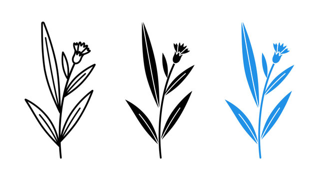 Cornflower botanical set line art silhouette vector icon