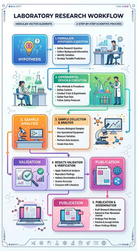 Laboratory research workflow steps infographic clipart for