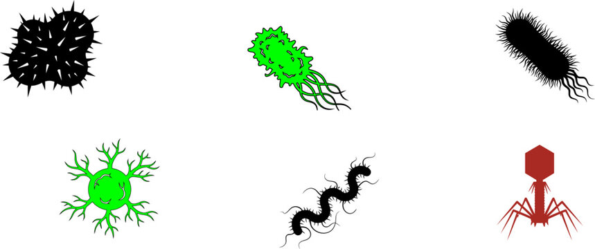 Set of various microscopic bacteria and virus icons isolated on a white background for medical research