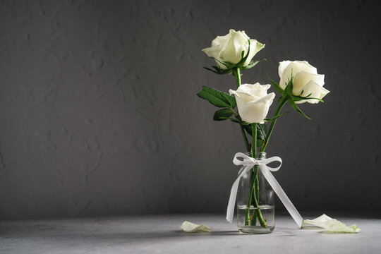Three white roses in glass vase with white ribbon on dark grey background