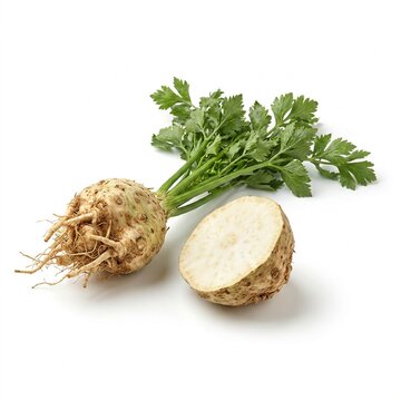 Fresh Celeriac Root with Green Leaves Isolated on White Background