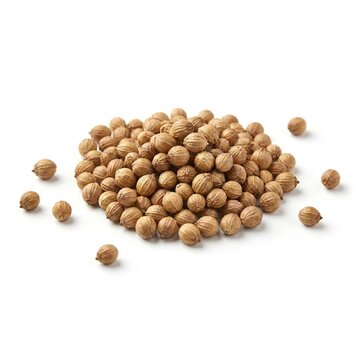 Whole Coriander Seeds Pile Isolated on White Background