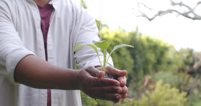 Thin water stream is falling, hands are holding seedling in garden, soaking soil to hydrate roots