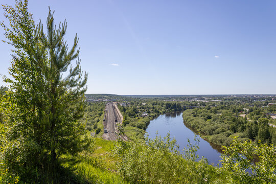 High angle landscape showing green forest, winding river, and railway with young trees in foreground.
