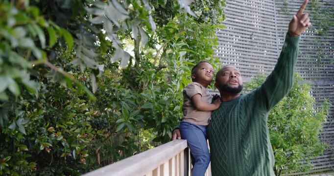 African-American father-son on deck rail as son pointing dad holding him in green sweater