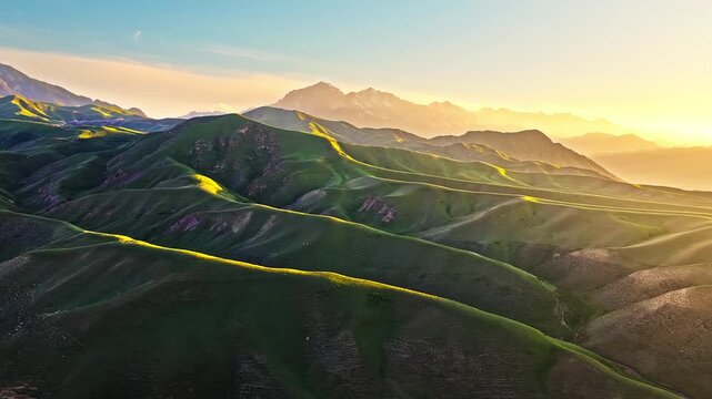 Aerial view of rolling green mountain ridges glowing in golden hour light at sunset in Xinjiang, China.