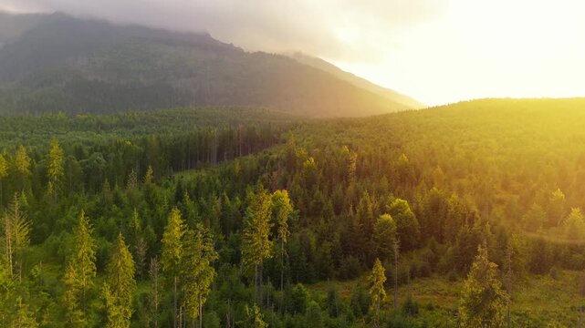 Stunning aerial view of beautiful Tantra mountains, Slovakia.