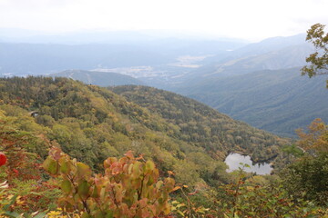 白馬、栂池自然園の秋。栂池と白馬村を見下ろす。 © onaka