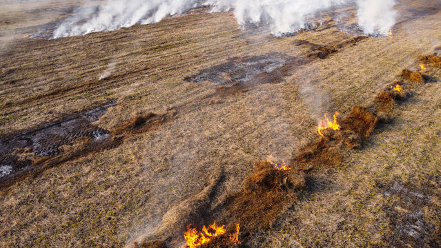 Aerial View of Straw Windrow Burning in Agricultural Field