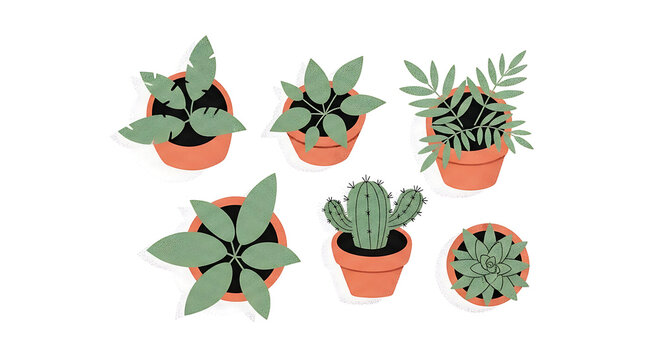 Potted House Plants Set with Cactus Succulent and Leafy Greenery Top View Illustration on White Background