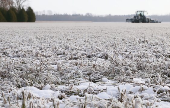 European farmland faces frost damage and food security concerns