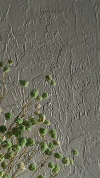 Dried Flowers on Grey Textured Wall