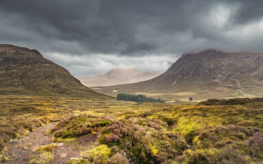 View from the Devil's Staircase of the River Coupall winding its way along the Glencoe valley in the Highlands of Scotland with heather in the foreground and Buachaille Etive More in the distance © Jon Ingall