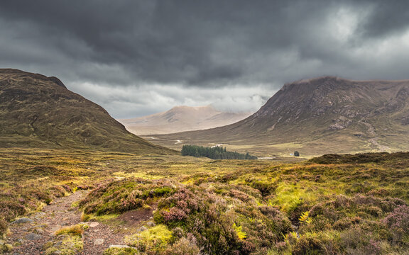 View from the Devil's Staircase of the River Coupall winding its way along the Glencoe valley in the Highlands of Scotland with heather in the foreground and Buachaille Etive More in the distance