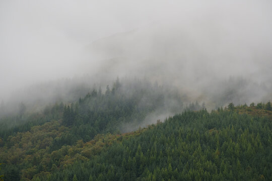 Low clouds hanging over a pine forest at Ballachulish in Scotland