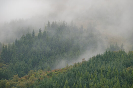 Low clouds hanging over a pine forest at Ballachulish in Scotland