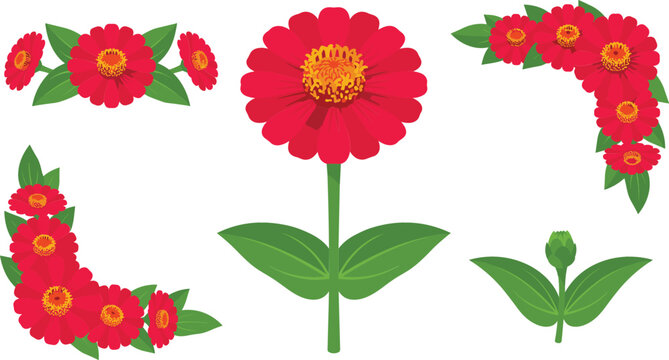 Vibrant Red Zinnia Flower Vector Set with Flat Geometric Blossoms Isolated Buds Green Leaves and Corner Border Garland Arrangements for Spring Graphic Designs