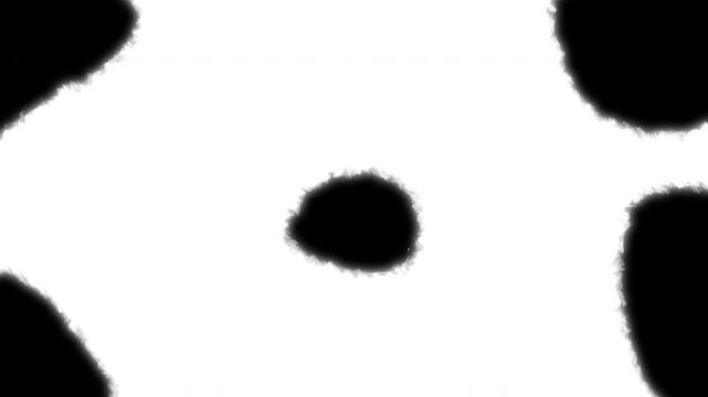 A transition featuring black paint splashes spreading across a white background, as well as white ink on a black background; the ink expands to fill the screen, flowing and radiating outwards.	