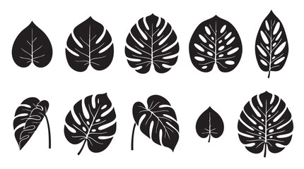 Monstera Leaves Set Vector Icons in Black Silhouettes © yayak hudaifah