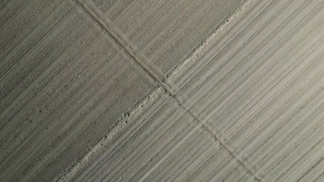 Top-down aerial drone view of plowed agricultural field with tractor tire tracks, geometric diagonal lines and textured brown soil, abstract farmland background for farming and agriculture in Italy