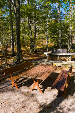 A large wooden picnic table with benches stands in a sunlit deciduous forest, surrounded by fallen leaves and mature trees. The inviting outdoor setting illustrates nature recreation