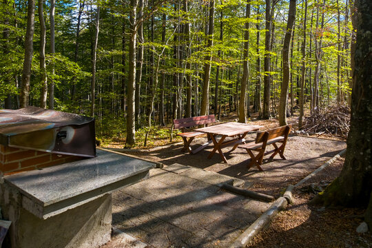 A large wooden picnic table with benches stands in a sunlit deciduous forest, surrounded by fallen leaves and mature trees. The inviting outdoor setting illustrates nature recreation