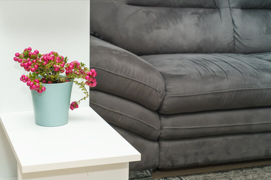 A Pernettya mucronata (Gaultheria mucronata) ornamental plant covered with clusters of vivid pink berries in a pastel green pot, placed on a white table against a contemporary gray sofa