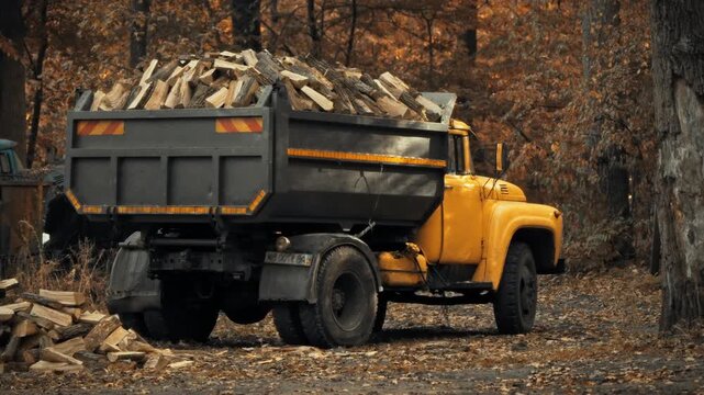 A weathered truck loaded with chopped firewood sits parked before a yellow autumn forest, representing logistics and fuel transportation during the seasonal preparation for winter home heating needs