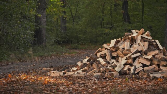 A large stack of chopped firewood sits outdoors in a rural setting, prepared for the winter season. The forestry pile rests against an autumn forest background, representing agricultural wood storage