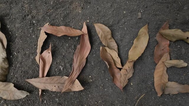 Spelling Love Word with Dried Autumn Leaves Close Up Zooming Out to Overhead Aerial Top Down Shot