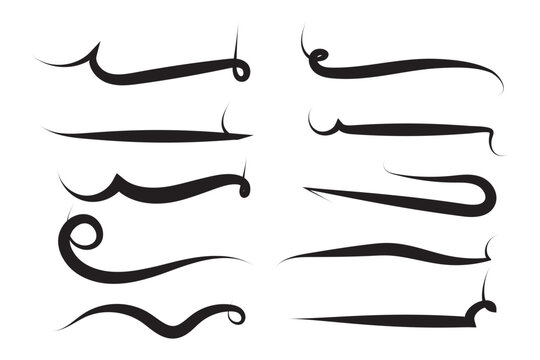 Calligraphy Swirls and Flourishes Set, Decorative Hand Drawn Ink Lines for Typography and Text Decoration