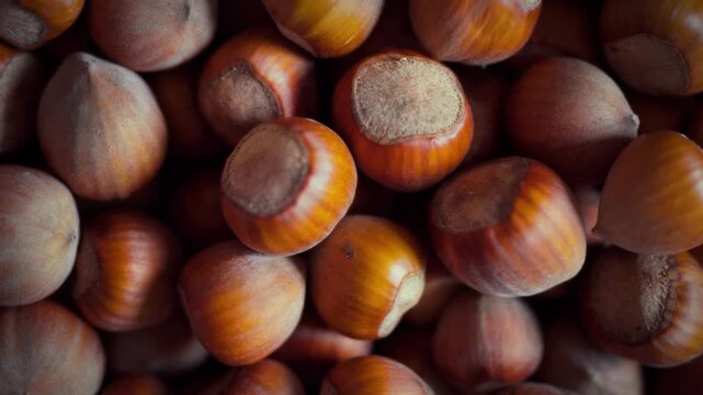 Macro shot of unpeeled hazelnuts in natural light. The camera moves smoothly over brown shells with light stripes and rough texture. Close-up details of a freshly harvested nut crop