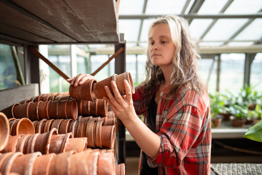 Professional focused woman gardener taking terracotta flower pots from shelf in greenhouse warehouse, positive female botanist caretaker preparing pots for transplanting, workday in plant nursery.
