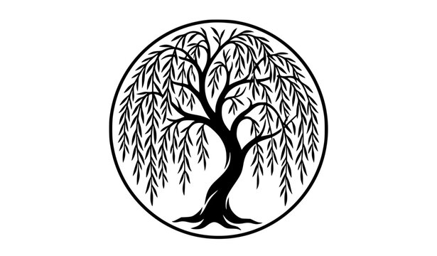 Willow Tree Icon Logo &ndash; Elegant Weeping Willow Botanical Vector Emblem