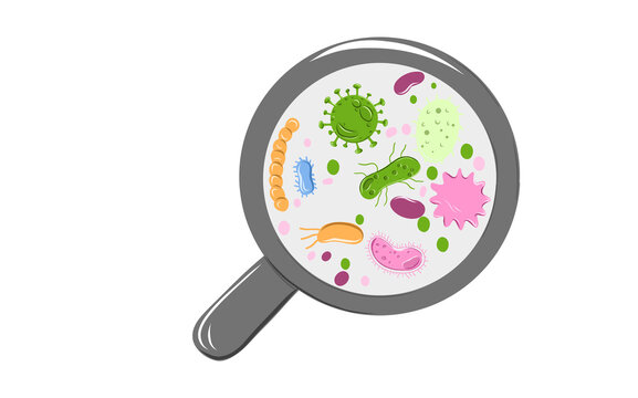 Magnifying glass viewing microbes bacteria and viruses line art vector illustration isolated on background
