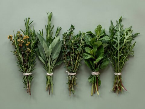Five bundles of fresh culinary herbs arranged on a sage green background