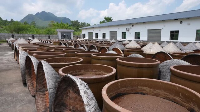 Ancient Cantonese soy sauce brewing craft, soybeans ferment in earthen jars under sunlight, traditional Lingnan condiment making process. Shot on 2025-05-21.