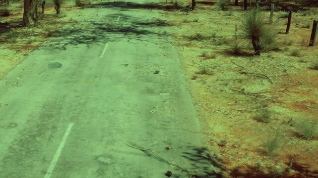 A lonely road stretches into the distance, bordered by dry earth and scattered trees. Shadows dance across the asphalt, evoking a sense of stillness in the wilderness.