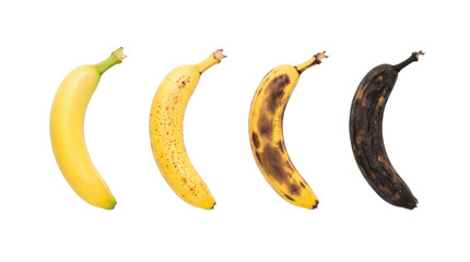 Bananas ripening stages from fresh to rotten © BTG