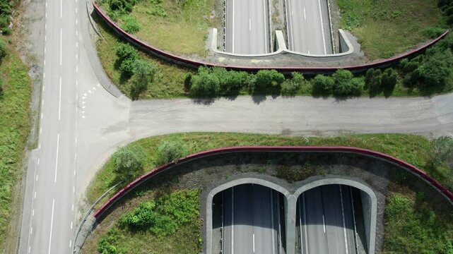 Aerial view of fauna tunnel entrance in green forest, Sweden