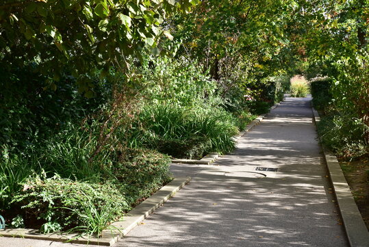 All&eacute;e ombrag&eacute;e au jardin