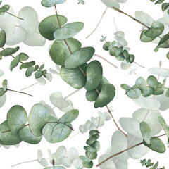Botanical watercolor illustration of green eucalyptus branches. Seamless pattern on white background for textile, wallpaper, scrapbook and wrapping paper © XeniaDenisova