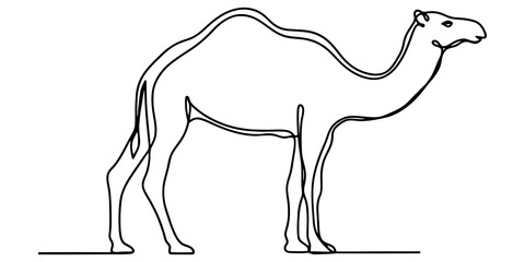 Camel silhouette outline drawing showcasing dromedary mammal for wildlife education and desert animal themed design project. © Purnima